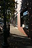 The Tree-lined streets of Aspinwall